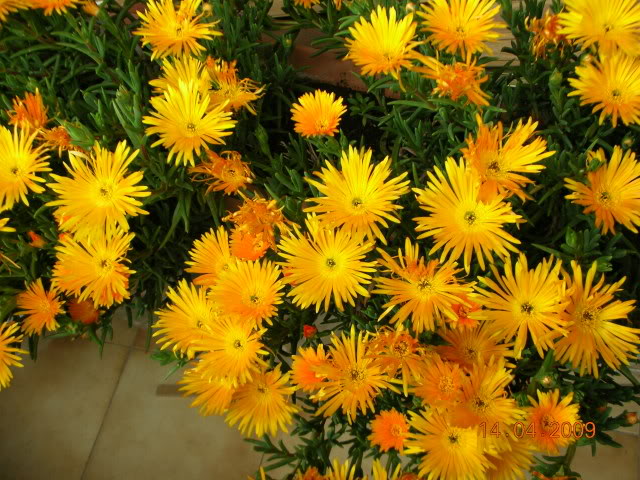 DSCN1638.jpg