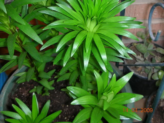 DSCN1639.jpg