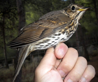 DSCN1639.jpg