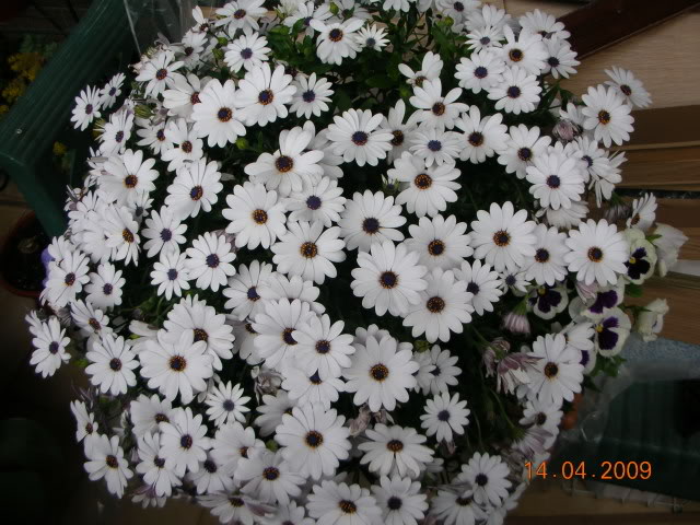 DSCN1640.jpg