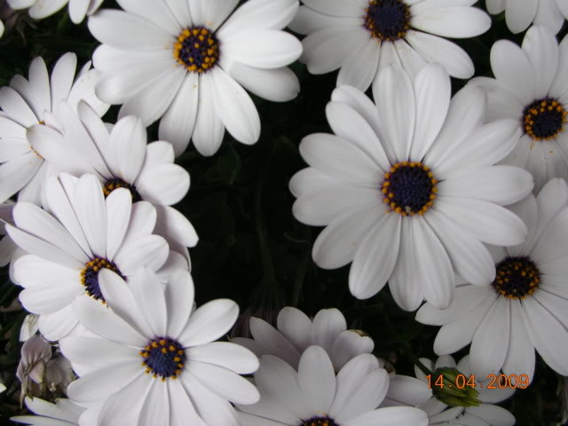 DSCN1641.jpg