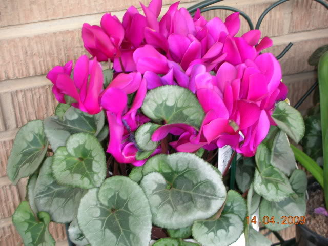 DSCN1643.jpg