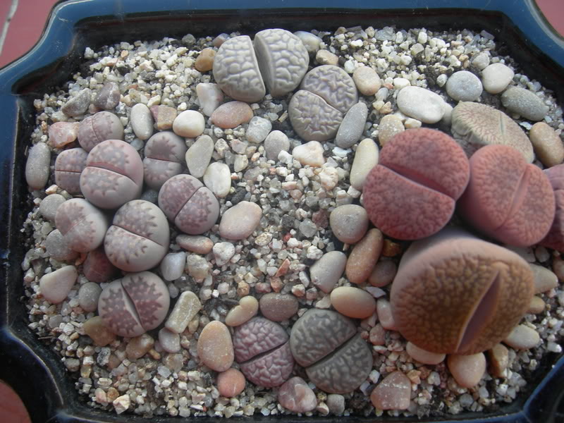 DSCN1645.jpg