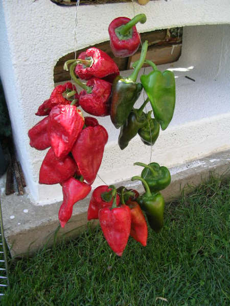 DSCN1646.JPG