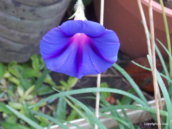 DSCN1651.JPG