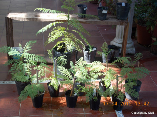 DSCN1654.JPG