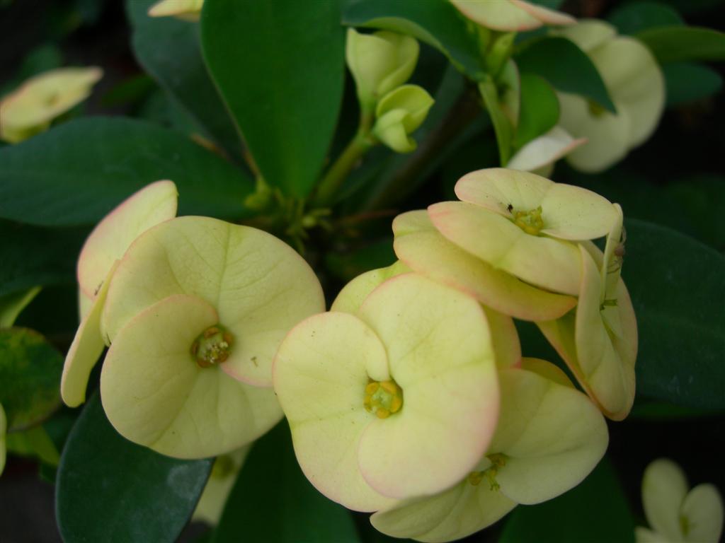 DSCN1655.JPG