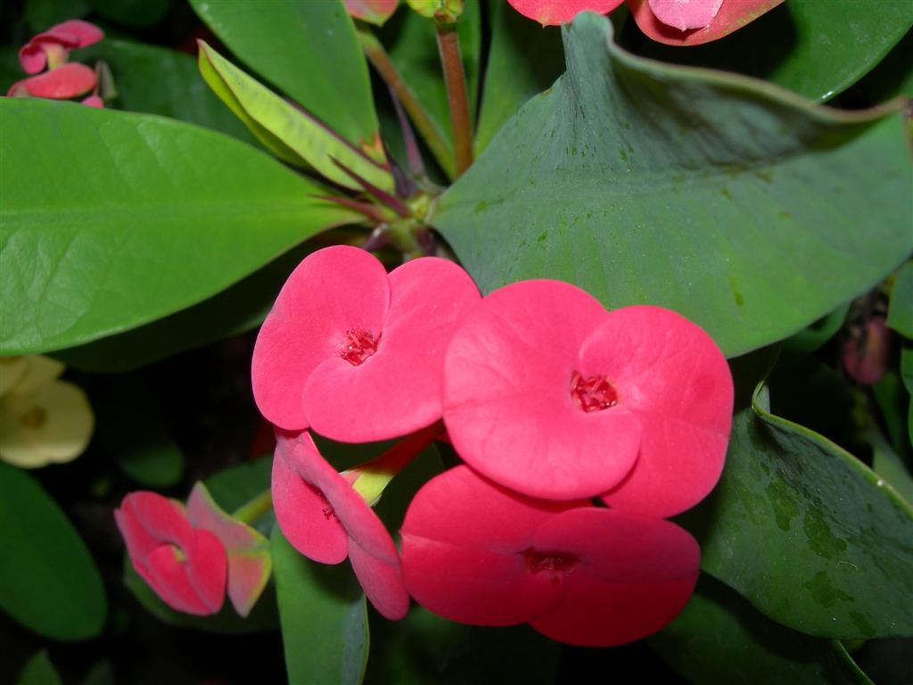 DSCN1656.JPG