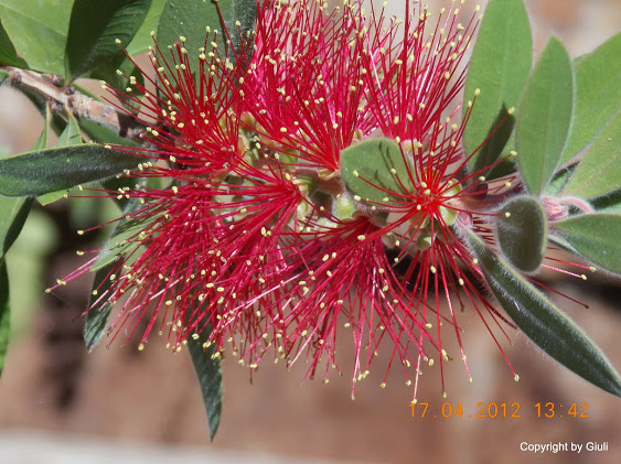 DSCN1656.JPG