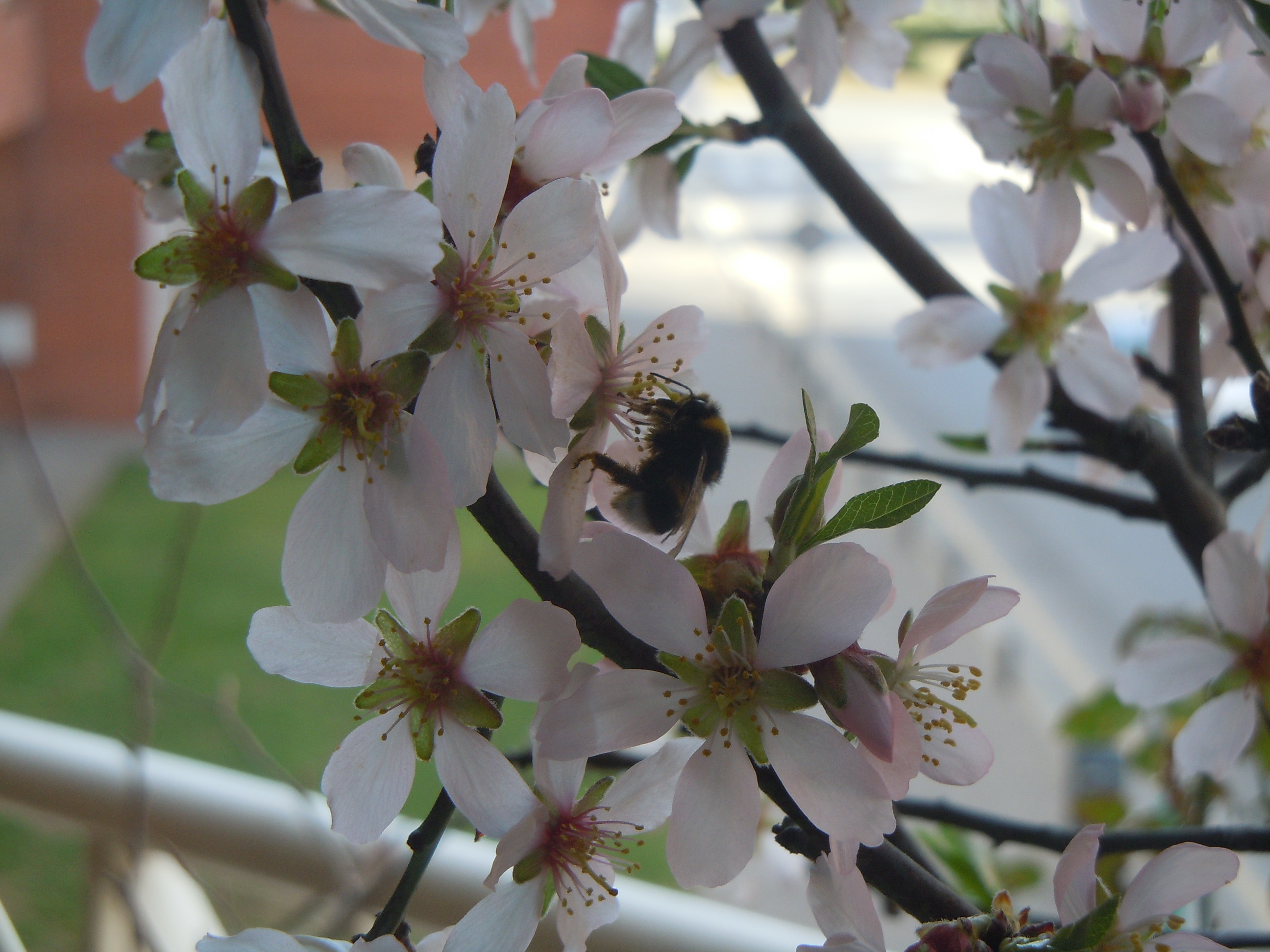 DSCN1671.JPG