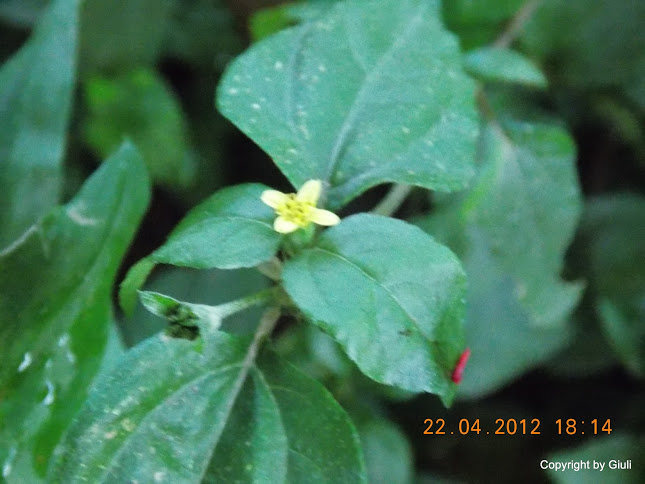 DSCN1671.JPG