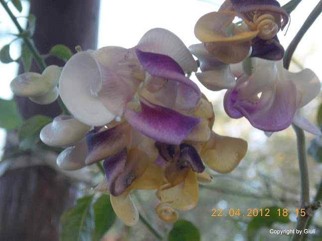 DSCN1672.JPG