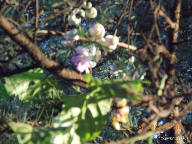 DSCN1673.JPG