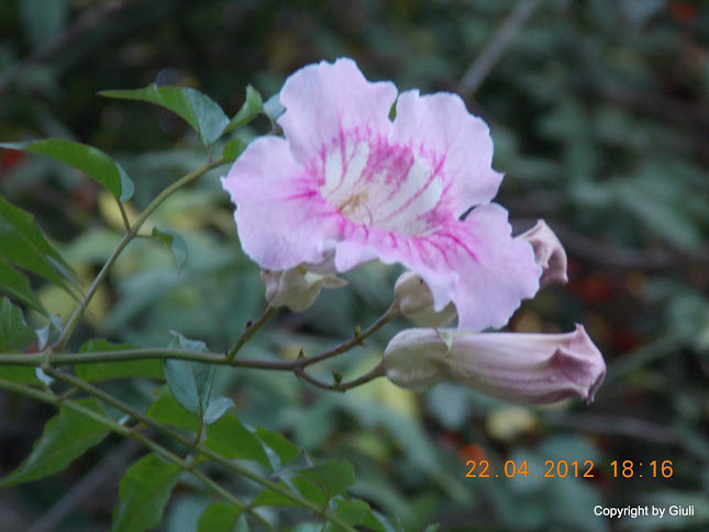 DSCN1677.JPG