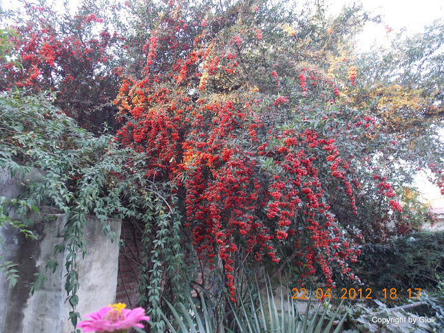DSCN1678.JPG