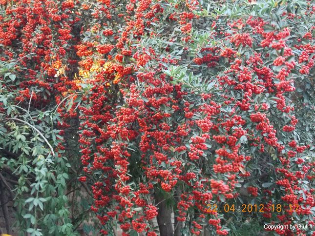 DSCN1680.JPG