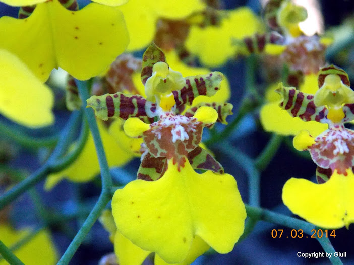 DSCN1680.JPG
