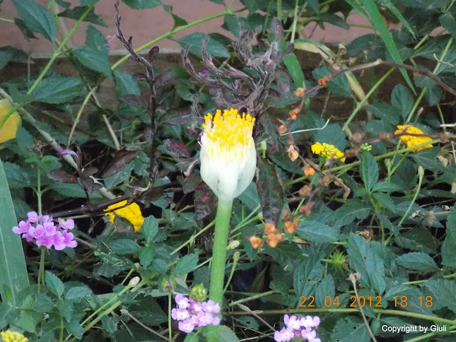 DSCN1681.JPG