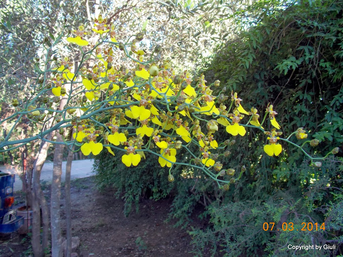 DSCN1681.JPG