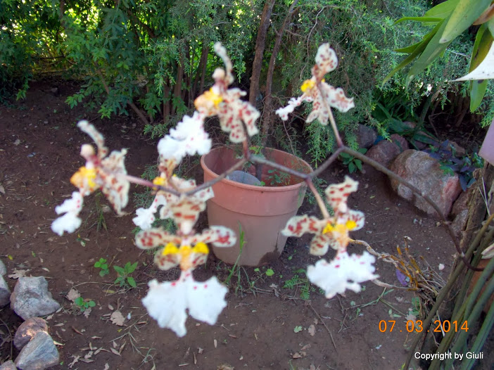 DSCN1682.JPG