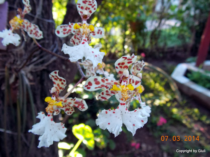 DSCN1683.JPG