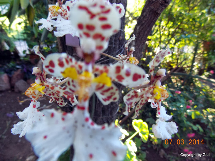 DSCN1684.JPG