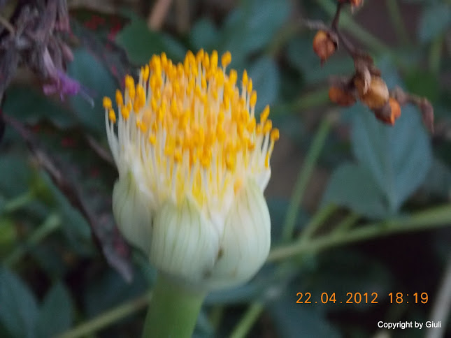 DSCN1687.JPG