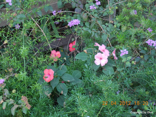 DSCN1688.JPG