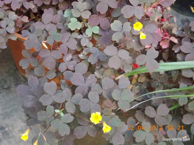 DSCN1689.JPG
