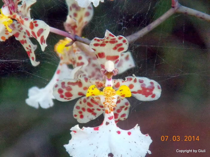 DSCN1689.JPG