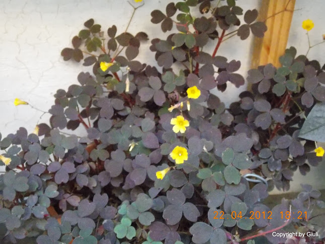 DSCN1690.JPG