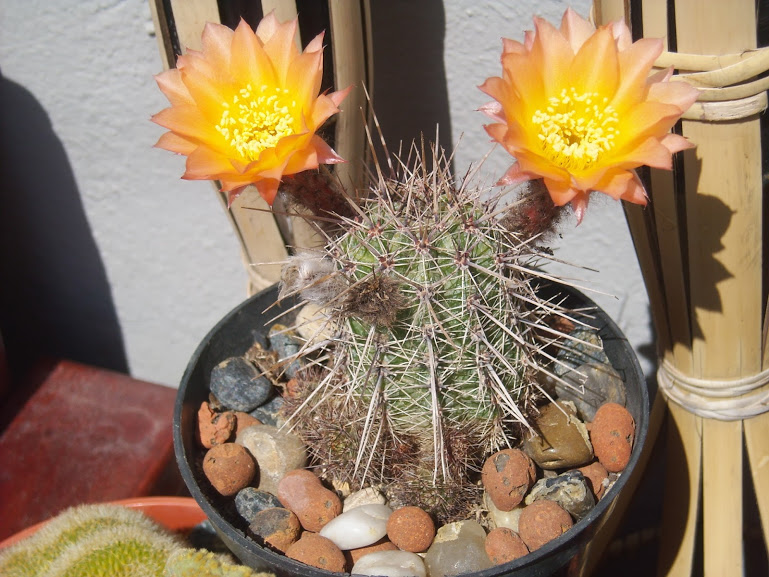 DSCN1691.JPG