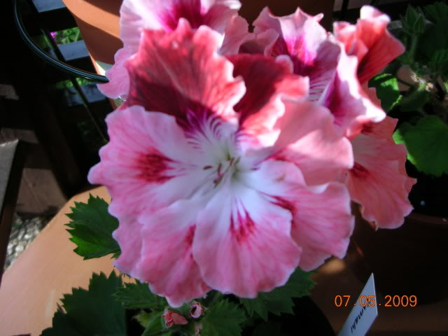 DSCN1692.jpg