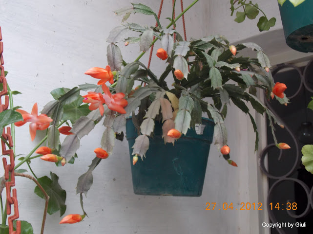 DSCN1692.JPG
