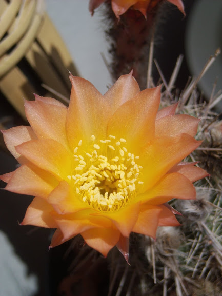 DSCN1692.JPG