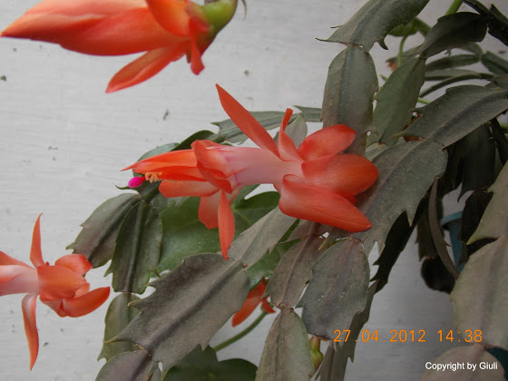 DSCN1693.JPG
