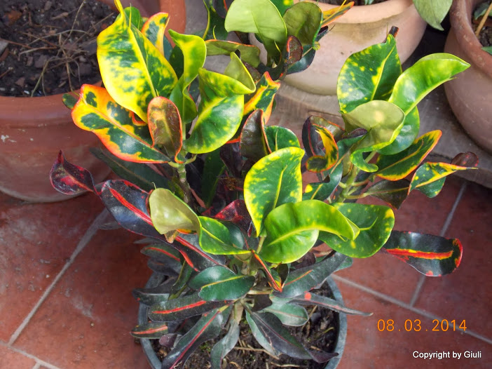 DSCN1693.JPG