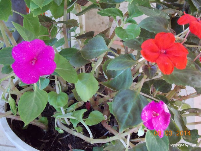 DSCN1698.JPG