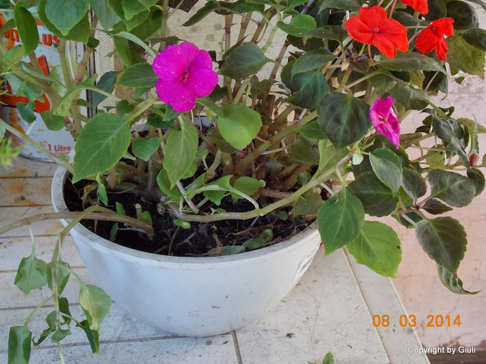 DSCN1699.JPG