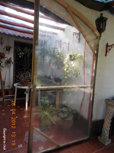 DSCN1702.JPG