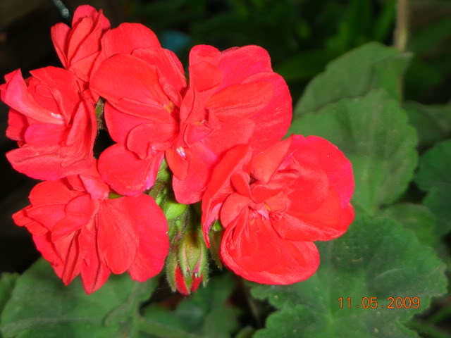 DSCN1704.jpg