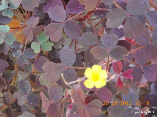 DSCN1704.JPG