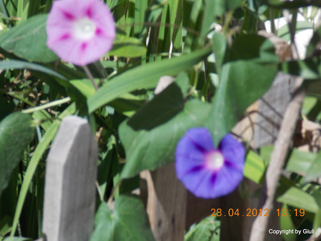 DSCN1706.JPG
