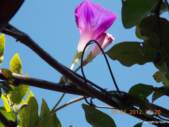 DSCN1709.JPG
