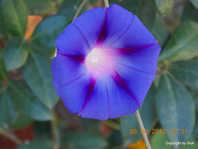 DSCN1711.JPG