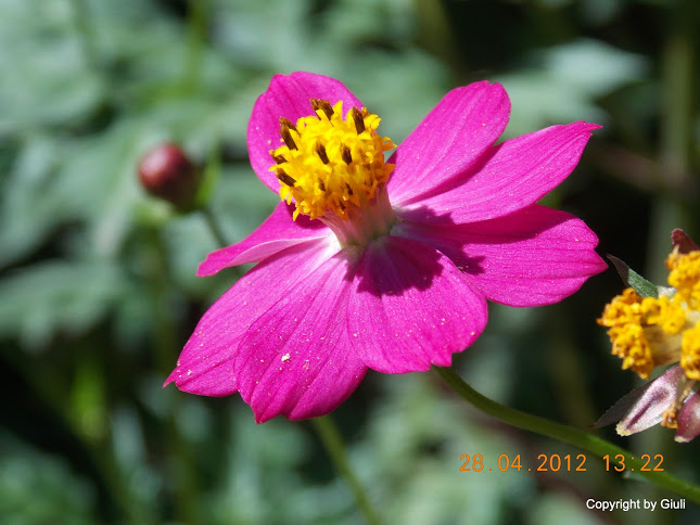 DSCN1712.JPG