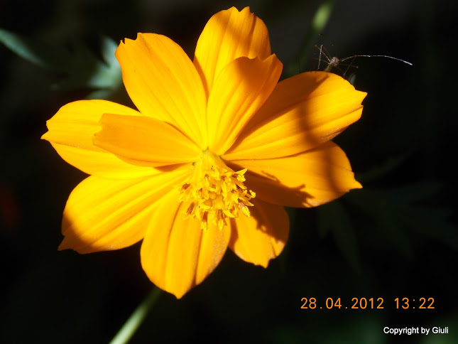 DSCN1714.JPG