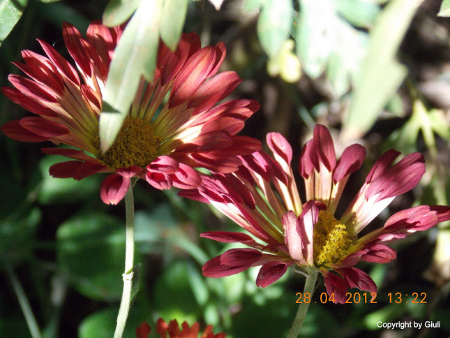 DSCN1715.JPG