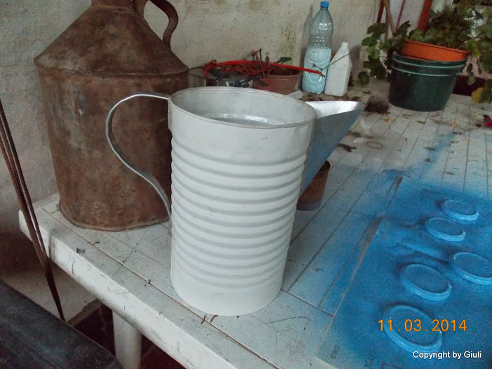 DSCN1715.JPG