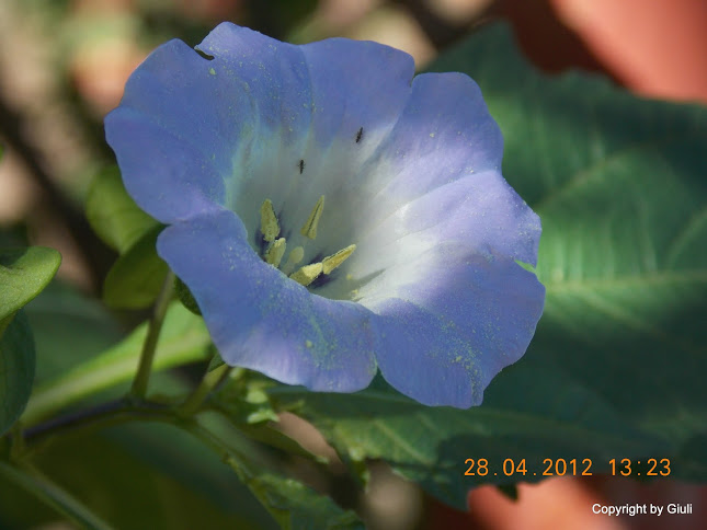 DSCN1717.JPG